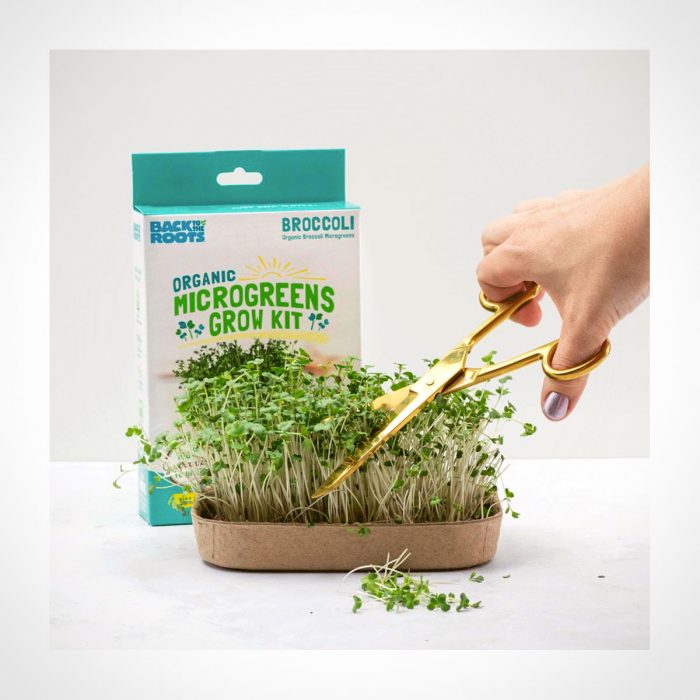 Back to the Roots Organic Microgreens Kit